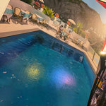 'The breakfast club' (capri) original painting